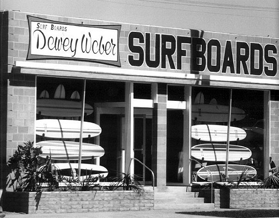 Saffrons Rule Dewey Webber 1