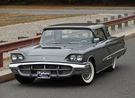 Saffrons Rule t bird