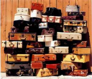 saffrons rule suitcases