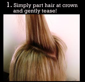 saffrons rule tease hair