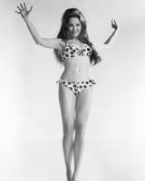 saffrons rule bikini 2