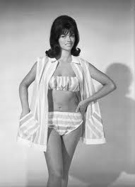 saffrons rule bikini 3