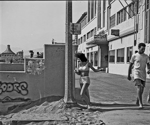 saffrons rule the wall