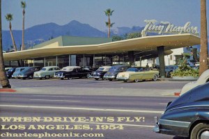 saffrons rule tiny naylors 2