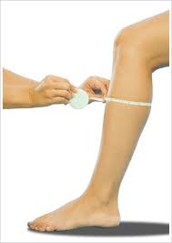 saffrons rule calves