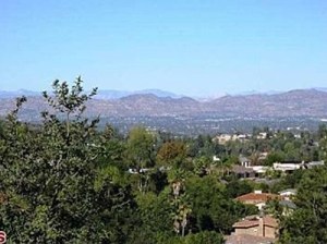 saffrons rule encino lot