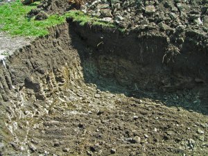 saffrons rule pool built