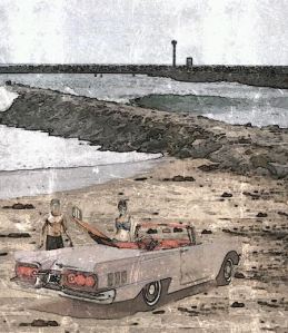 saffrons rule Sharrie at Toes