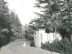 Bel Air Estate 6