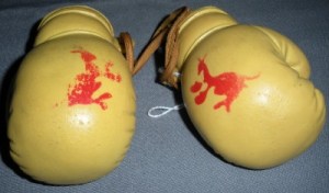 saffrons rule baby shower 6