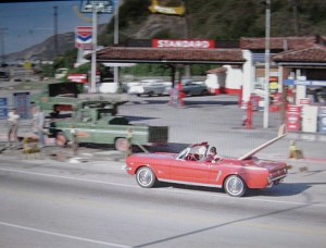 saffrons rule malibu 3