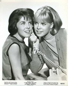 saffrons rule prank calls 2