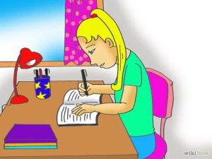 saffrons rule diary 2