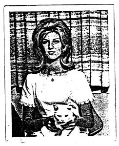 saffrons rule Lauri Goldsmith