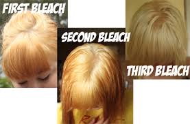 saffrons rule bleach hair