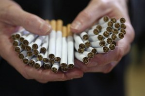 saffrons rule ciggarettes