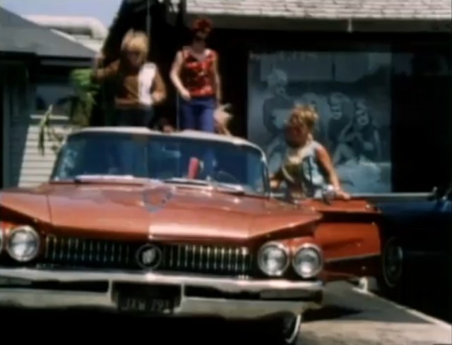 saffrons rule cruising guys