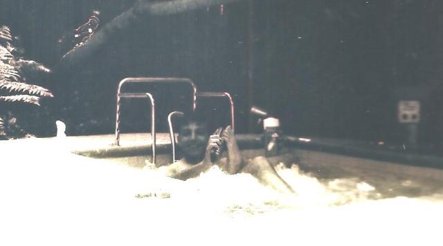 saffrons rule pool 003