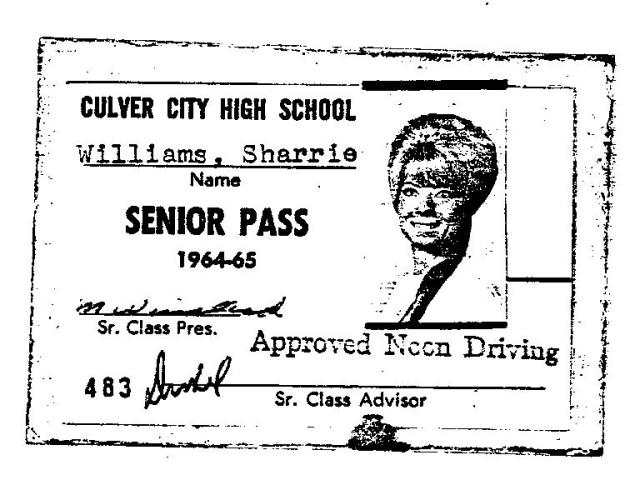 saffrons rule senior pass