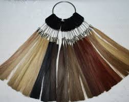 saffrons rule Campaine toast