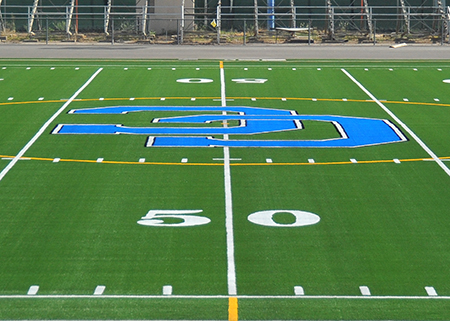 saffrons rule football field