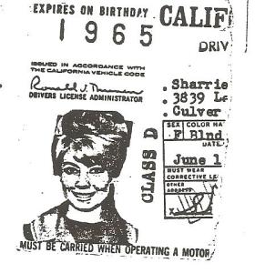 saffrons rule sharrie liscense 001